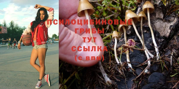экстази Нягань