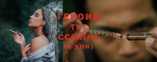 прущие грибы Вязьма