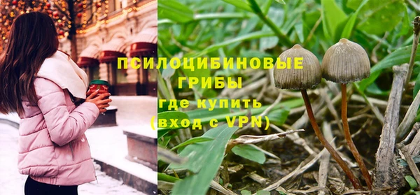 скорость Няндома