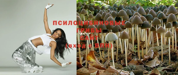 крисы Нязепетровск
