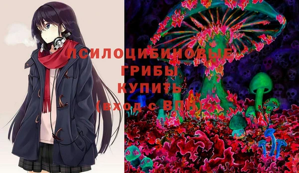скорость Няндома