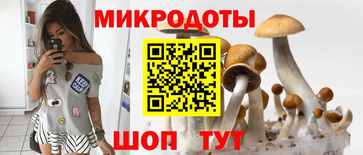 продажа наркотиков  Ивантеевка  Галлюциногенные грибы Psilocybine cubensis 
